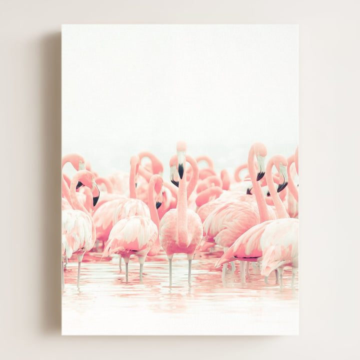 Pink Flamingos