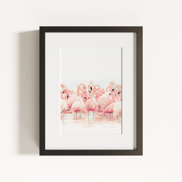 Pink Flamingos