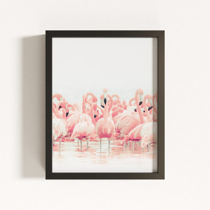 Pink Flamingos