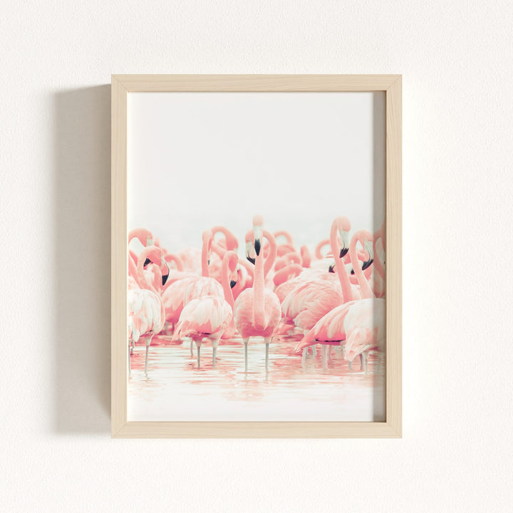 Pink Flamingos