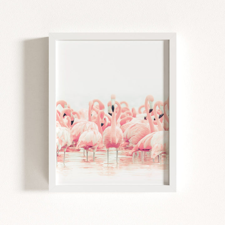 Pink Flamingos
