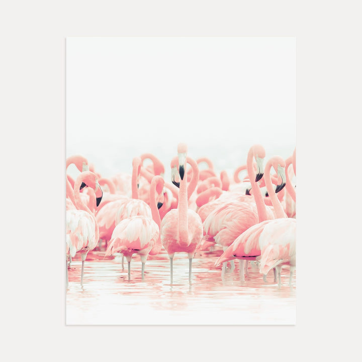 Pink Flamingos