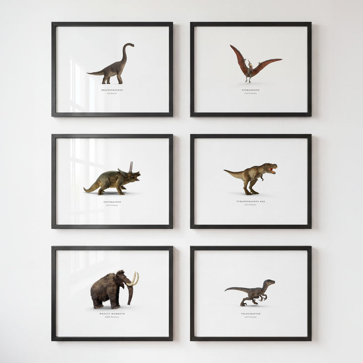 Prehistoric Creatures & Dinosaurs Set of 6 Boy Room Decor Prints
