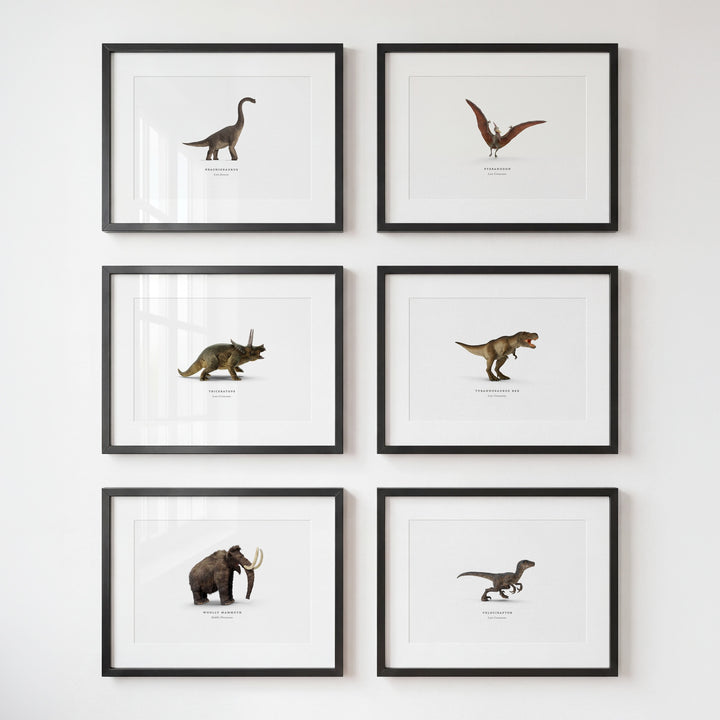 Prehistoric Creatures & Dinosaurs Set of 6 Boy Room Decor Prints