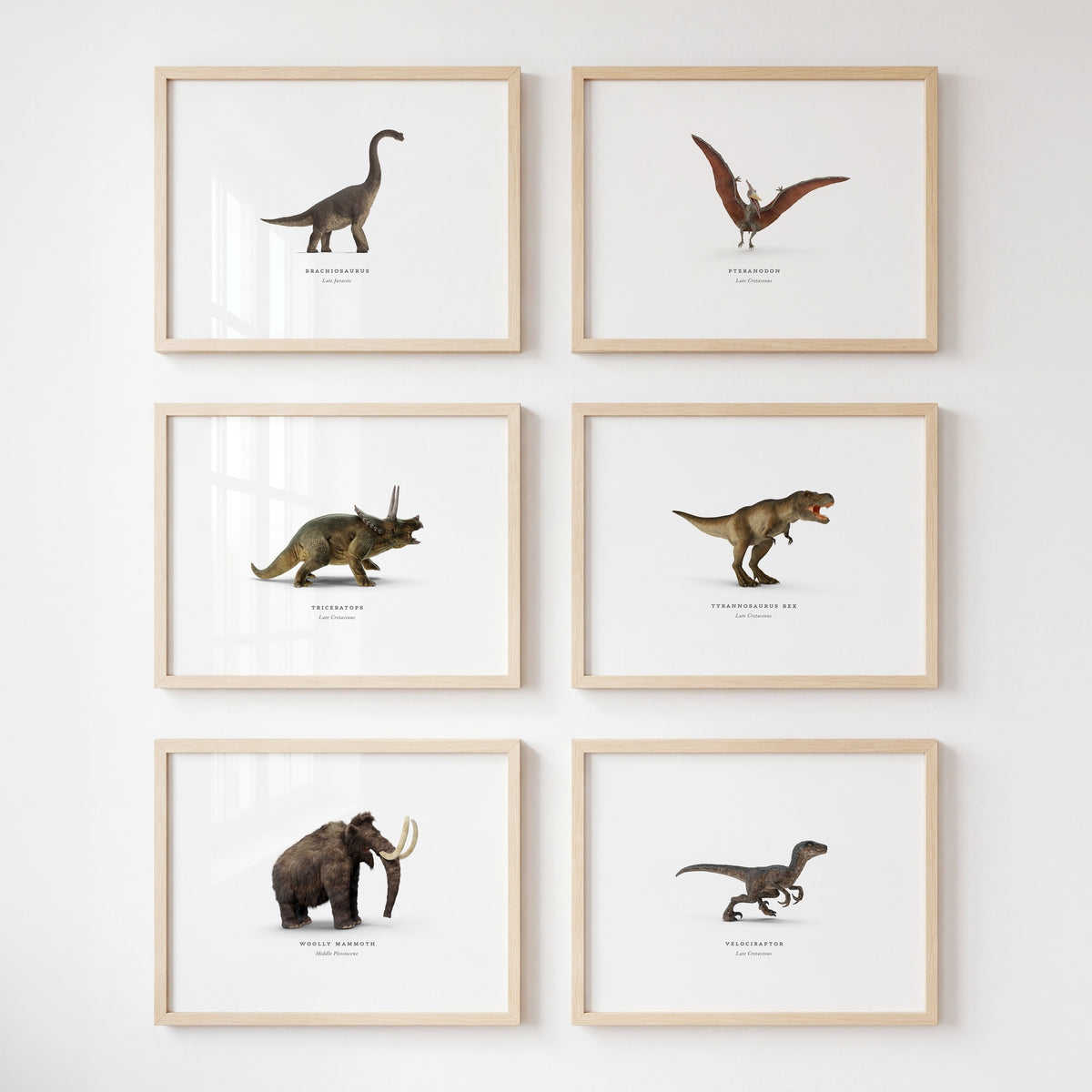 Prehistoric Creatures & Dinosaurs Set of 6 Boy Room Decor Prints - Framed Art