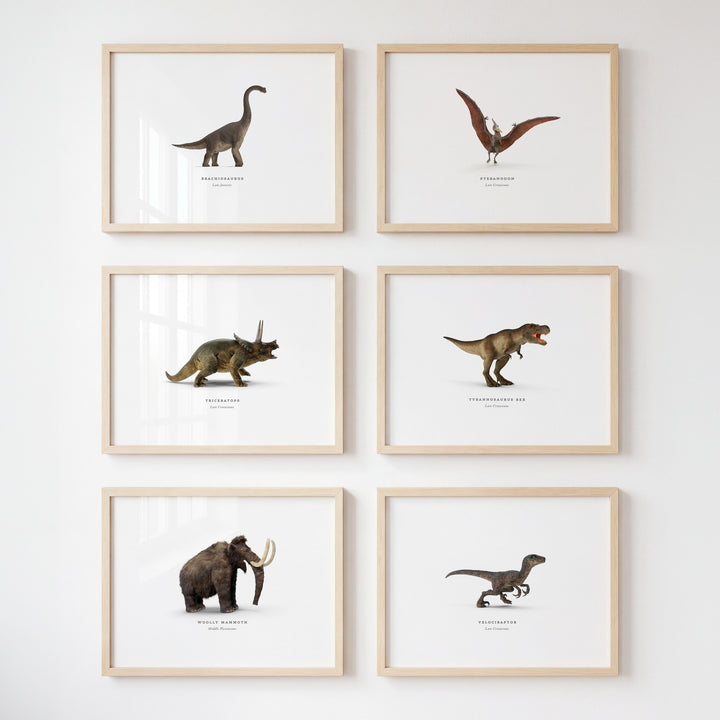 Prehistoric Creatures & Dinosaurs Set of 6 Boy Room Decor Prints