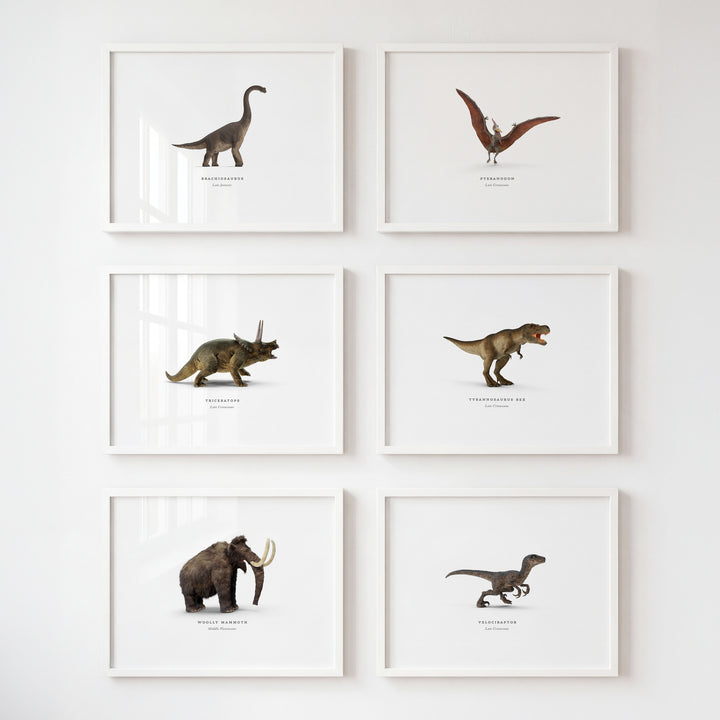 Prehistoric Creatures & Dinosaurs Set of 6 Boy Room Decor Prints