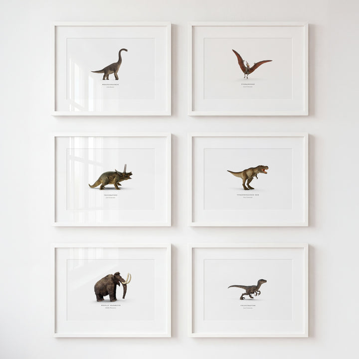 Prehistoric Creatures & Dinosaurs Set of 6 Boy Room Decor Prints