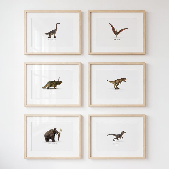 Prehistoric Creatures & Dinosaurs Set of 6 Boy Room Decor Prints