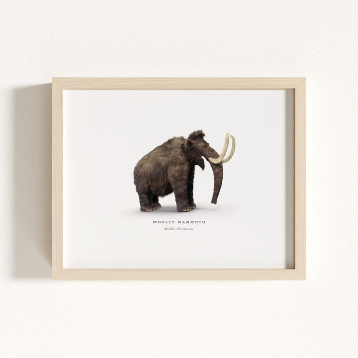 Prehistoric Creatures & Dinosaurs Set of 6 Boy Room Decor Prints