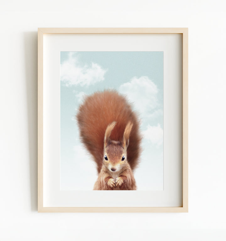 Baby Red Squirrel