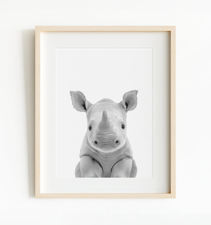 Baby Rhino