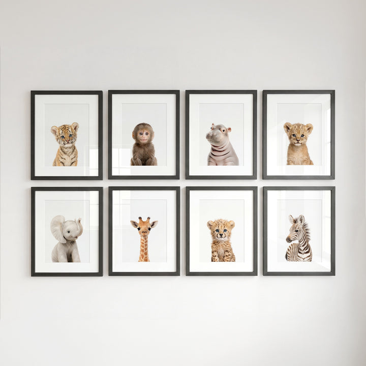 Safari Animals - Set of 8 baby animals - Africa & Asia - Nursery Art Prints
