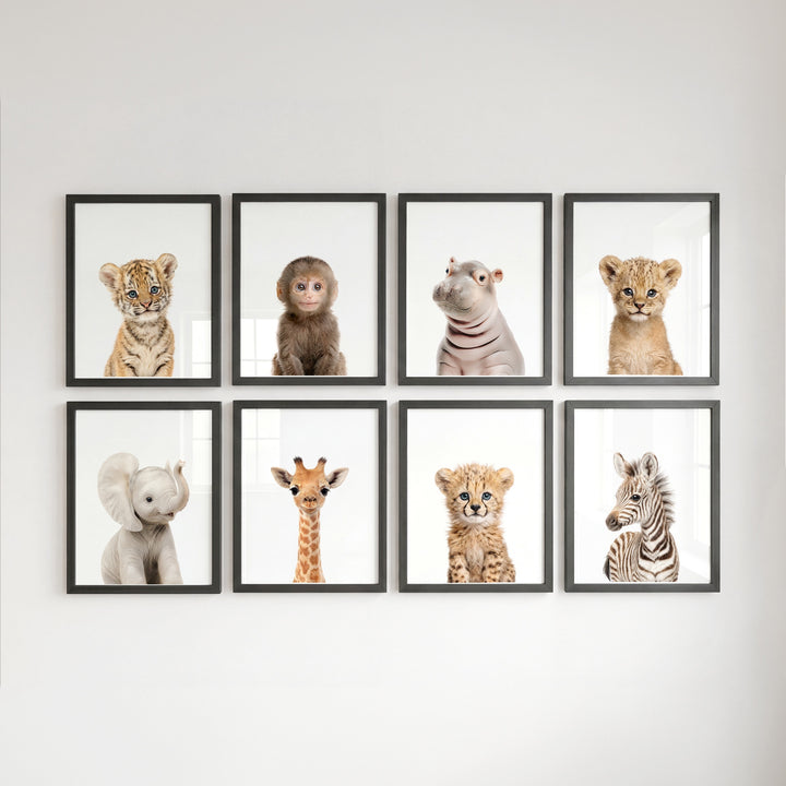 Safari Animals - Set of 8 baby animals - Africa & Asia - Nursery Art Prints