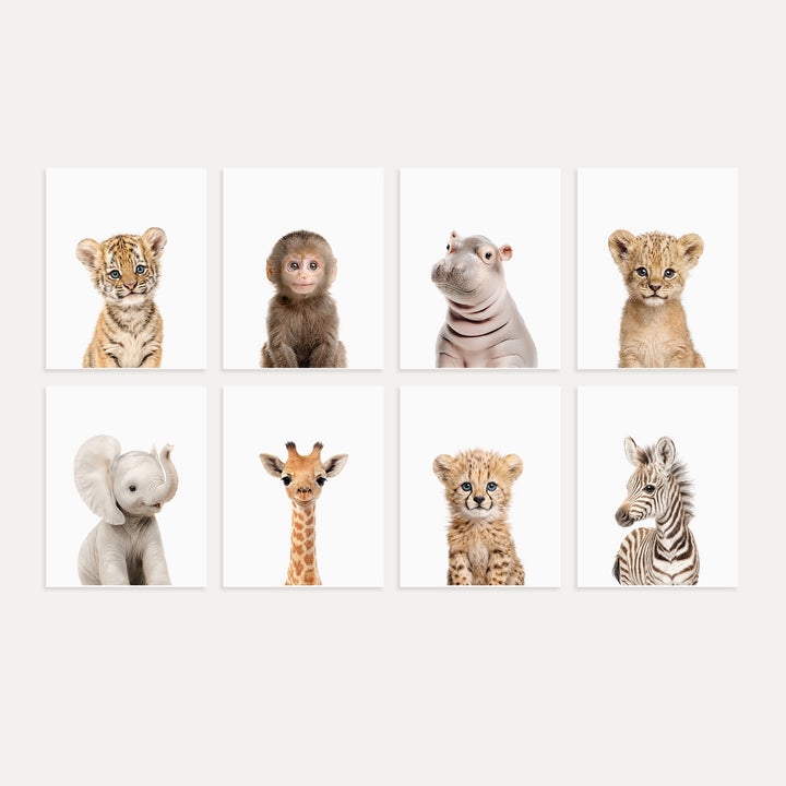 Safari Animals - Set of 8 baby animals - Africa & Asia - Nursery Art Prints