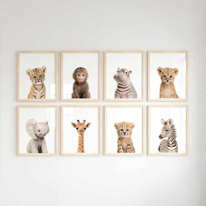 Safari Animals - Set of 8 baby animals - Africa & Asia - Nursery Art Prints
