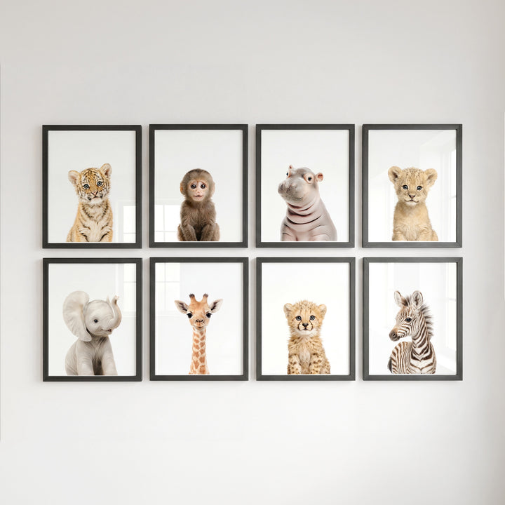 Safari Animals - Set of 8 baby animals - Africa & Asia - Nursery Art Prints