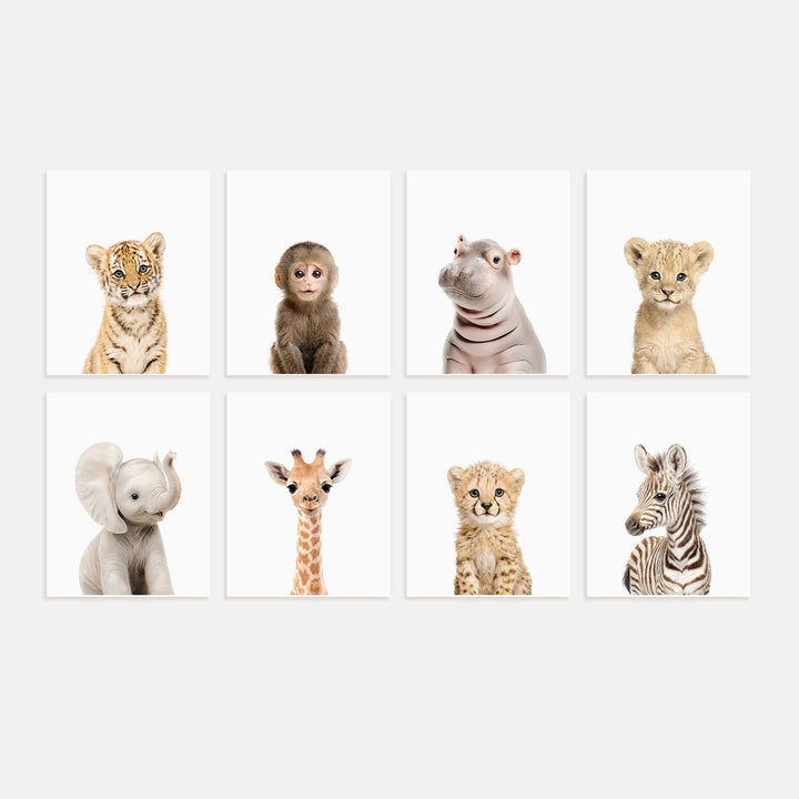 Safari Animals - Set of 8 baby animals - Africa & Asia - Nursery Art Prints