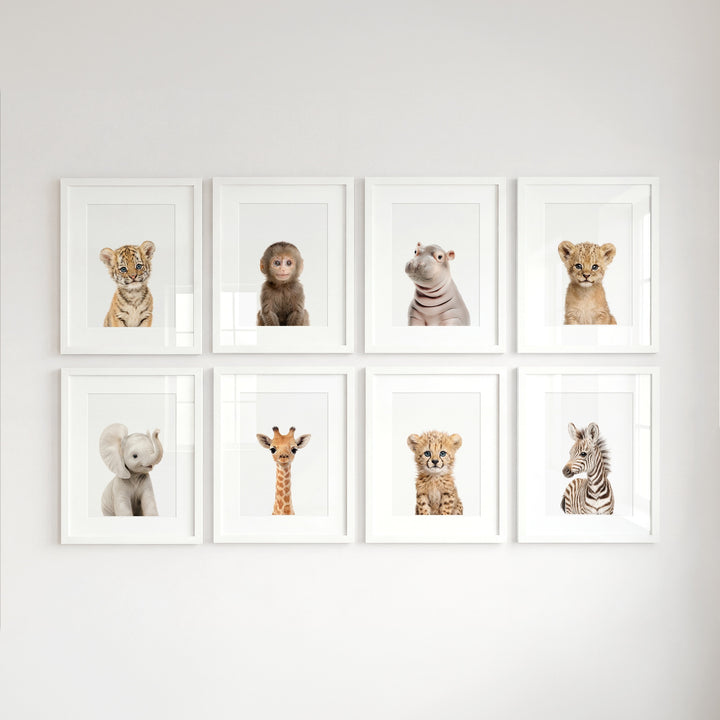 Safari Animals - Set of 8 baby animals - Africa & Asia - Nursery Art Prints