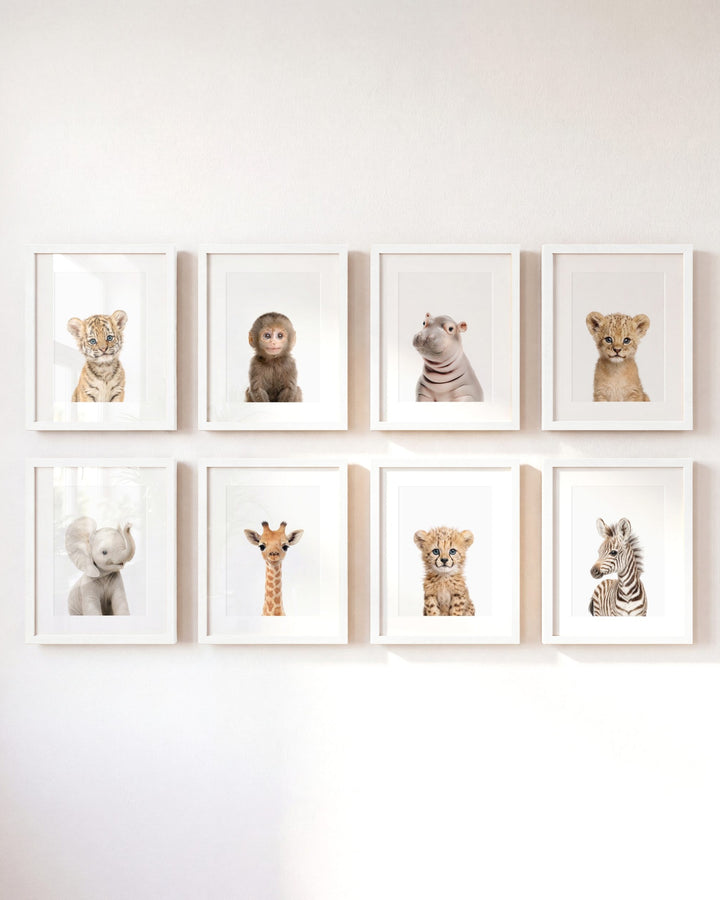 Safari Animals - Set of 8 baby animals - Africa & Asia - Nursery Art Prints