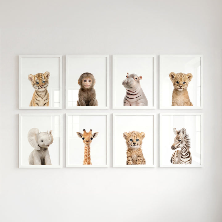 Safari Animals - Set of 8 baby animals - Africa & Asia - Nursery Art Prints