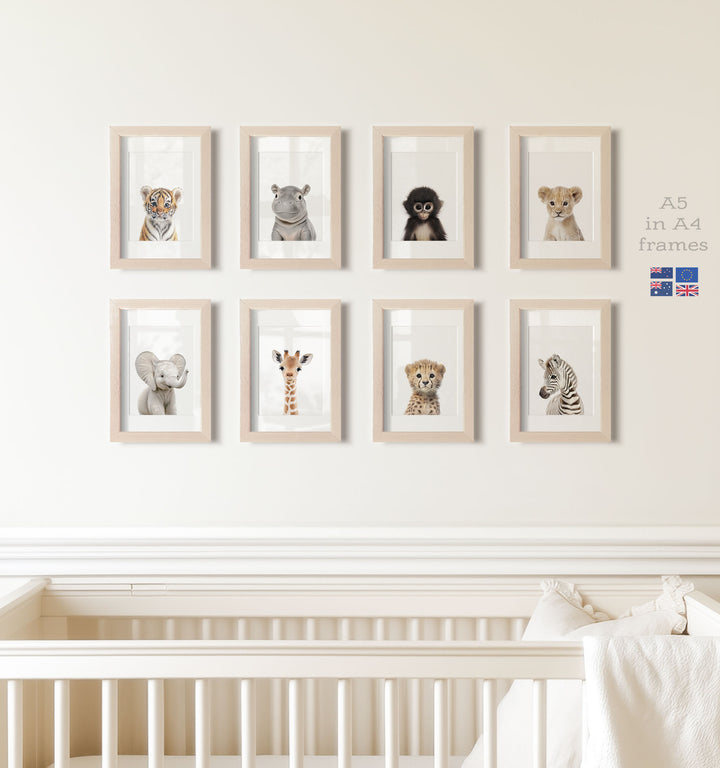 Safari Animals - Set of 8 baby animals - Africa & Asia - Nursery Art Prints