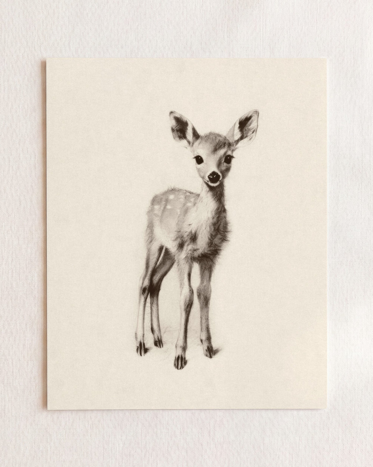 Sketchbook Animals Collection