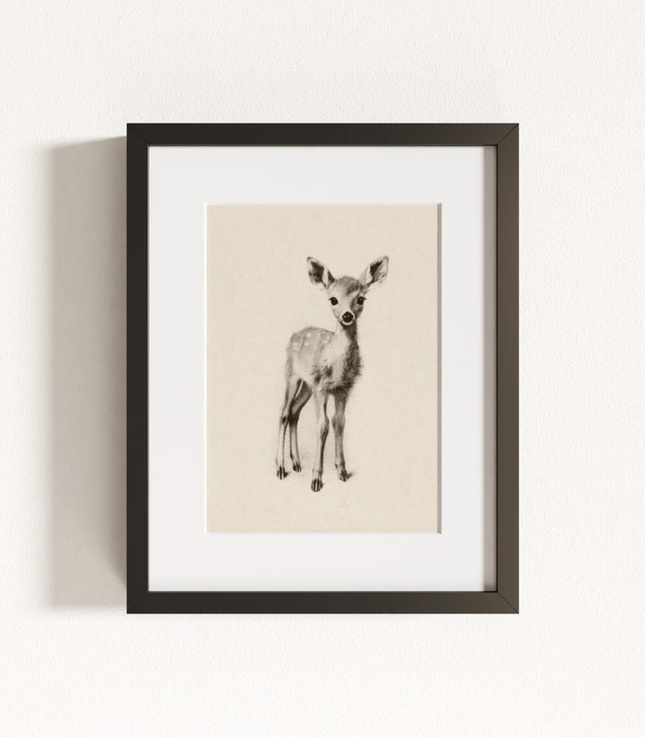 Sketchbook Animals Collection