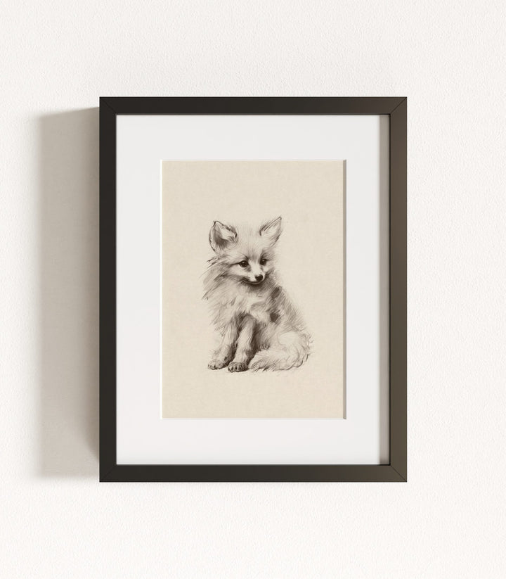 Sketchbook Animals Collection