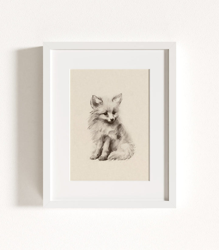 Sketchbook Animals Collection