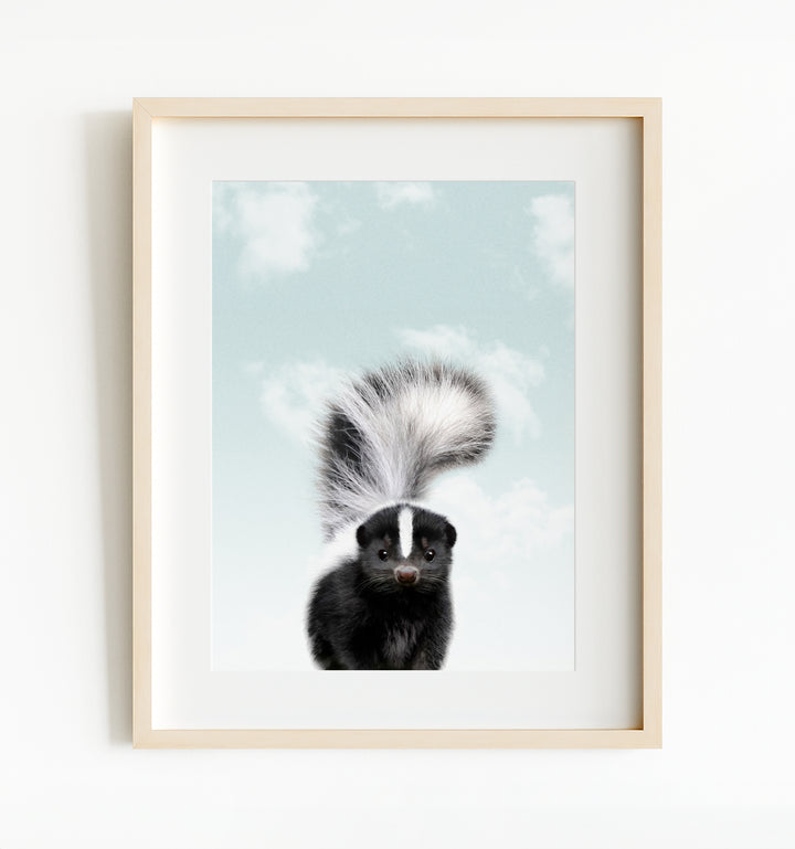 Baby Skunk