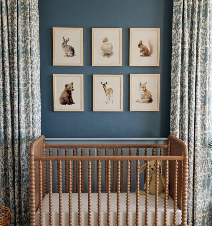 Framed Storybook Animals - Woodland Animal Prints