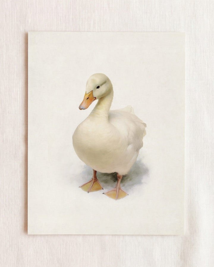 Storybook Duck