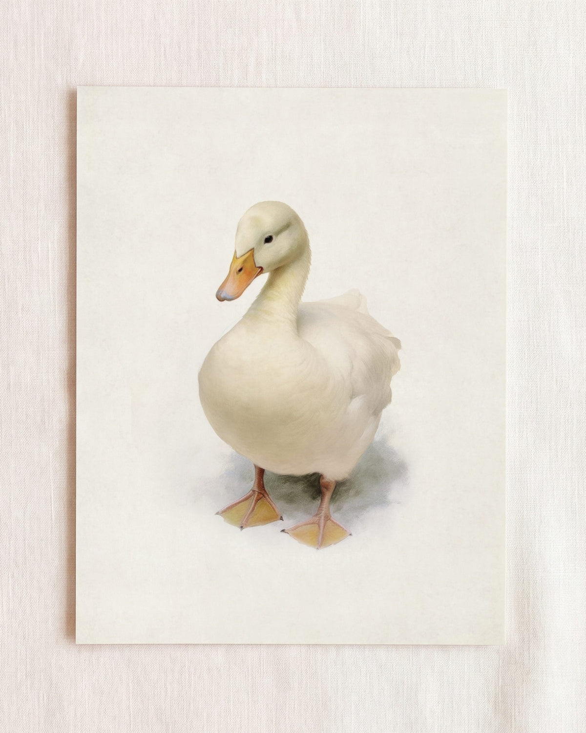 Storybook Duck