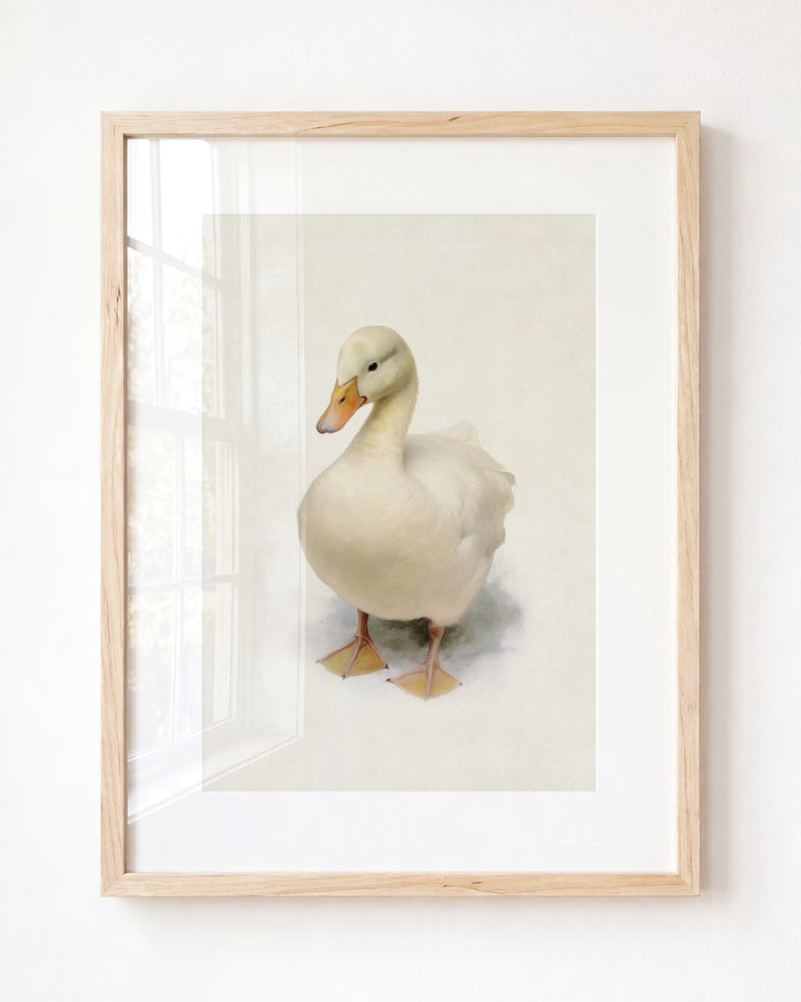Storybook Duck