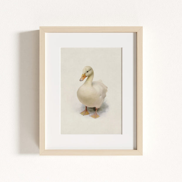 Storybook Duck