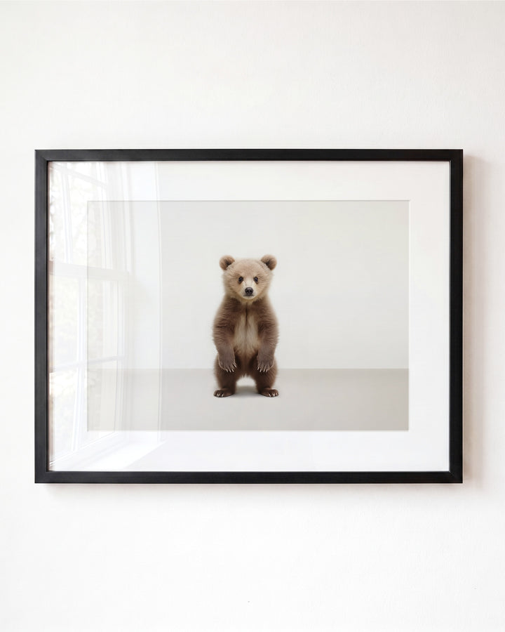 Studio Bear Art Print