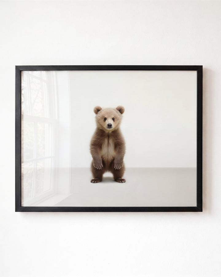 Studio Bear Art Print