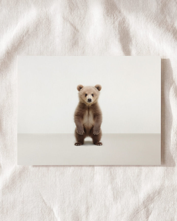 Studio Bear Art Print