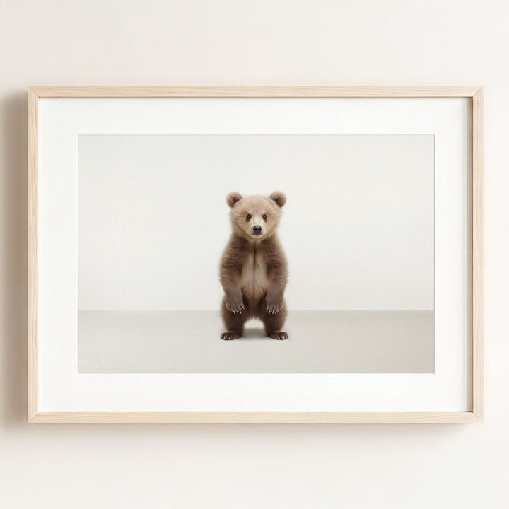 Studio Bear Art Print