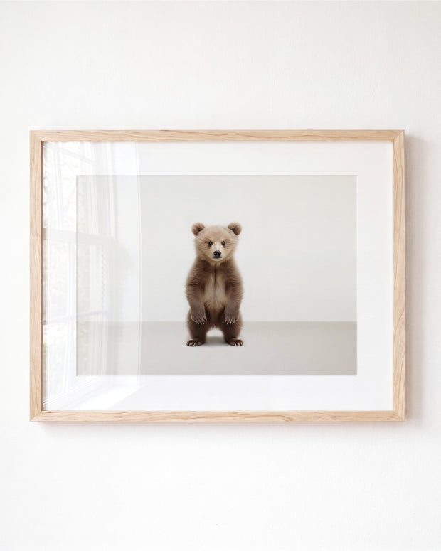 Studio Bear Art Print