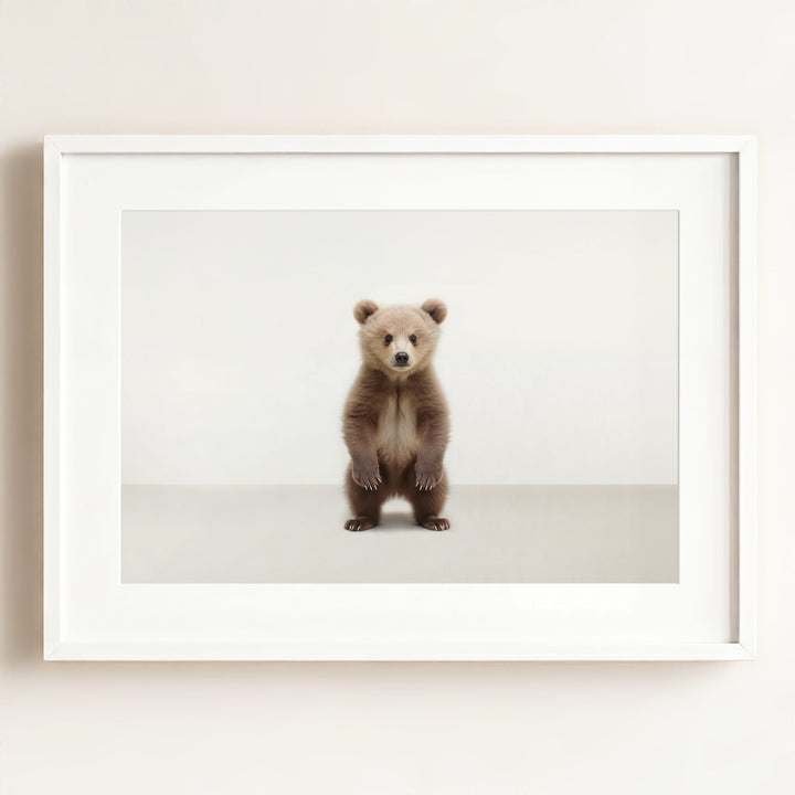 Studio Bear Art Print