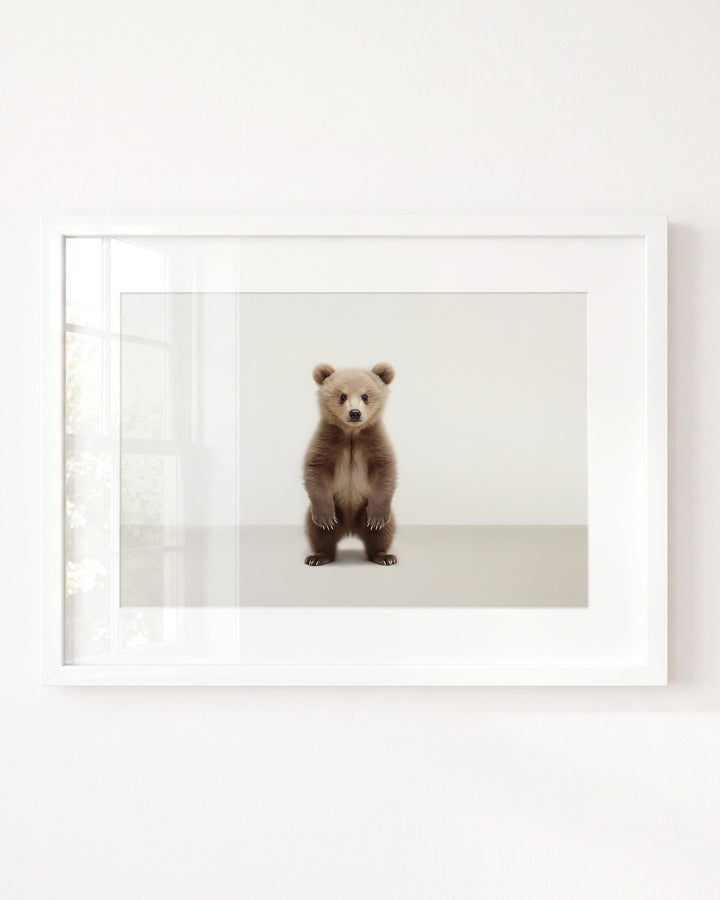 Studio Bear Art Print