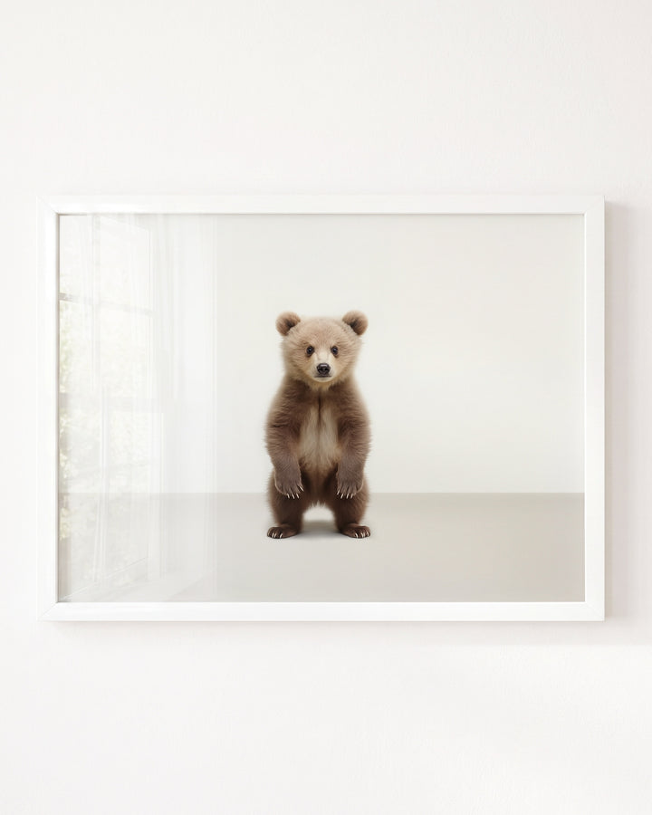 Studio Bear Art Print