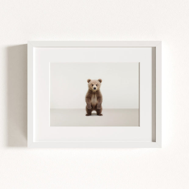 Studio Bear Art Print