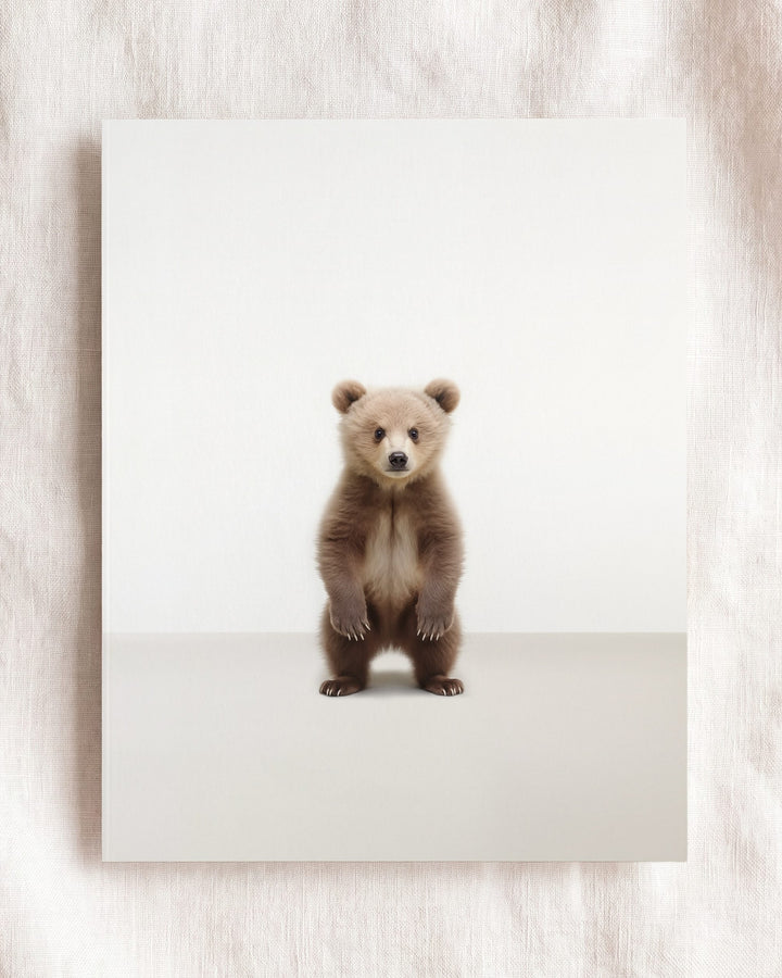 Studio Bear Art Print