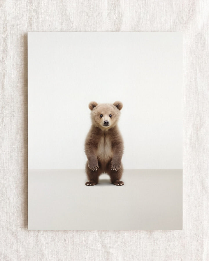 Studio Bear Art Print