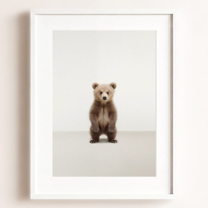 Studio Bear Art Print