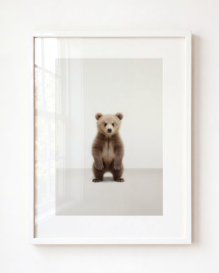 Studio Bear Art Print