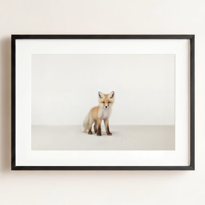 Studio Fox Art Print